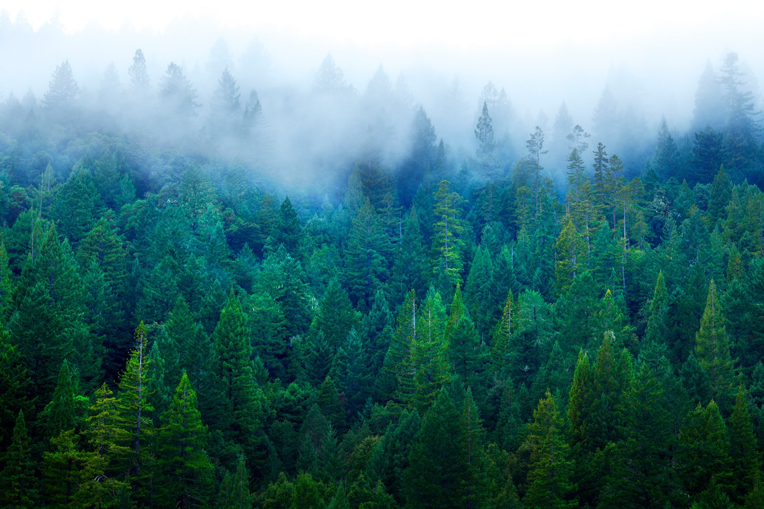 Why Winter is a Great Time for HVAC Service in California
