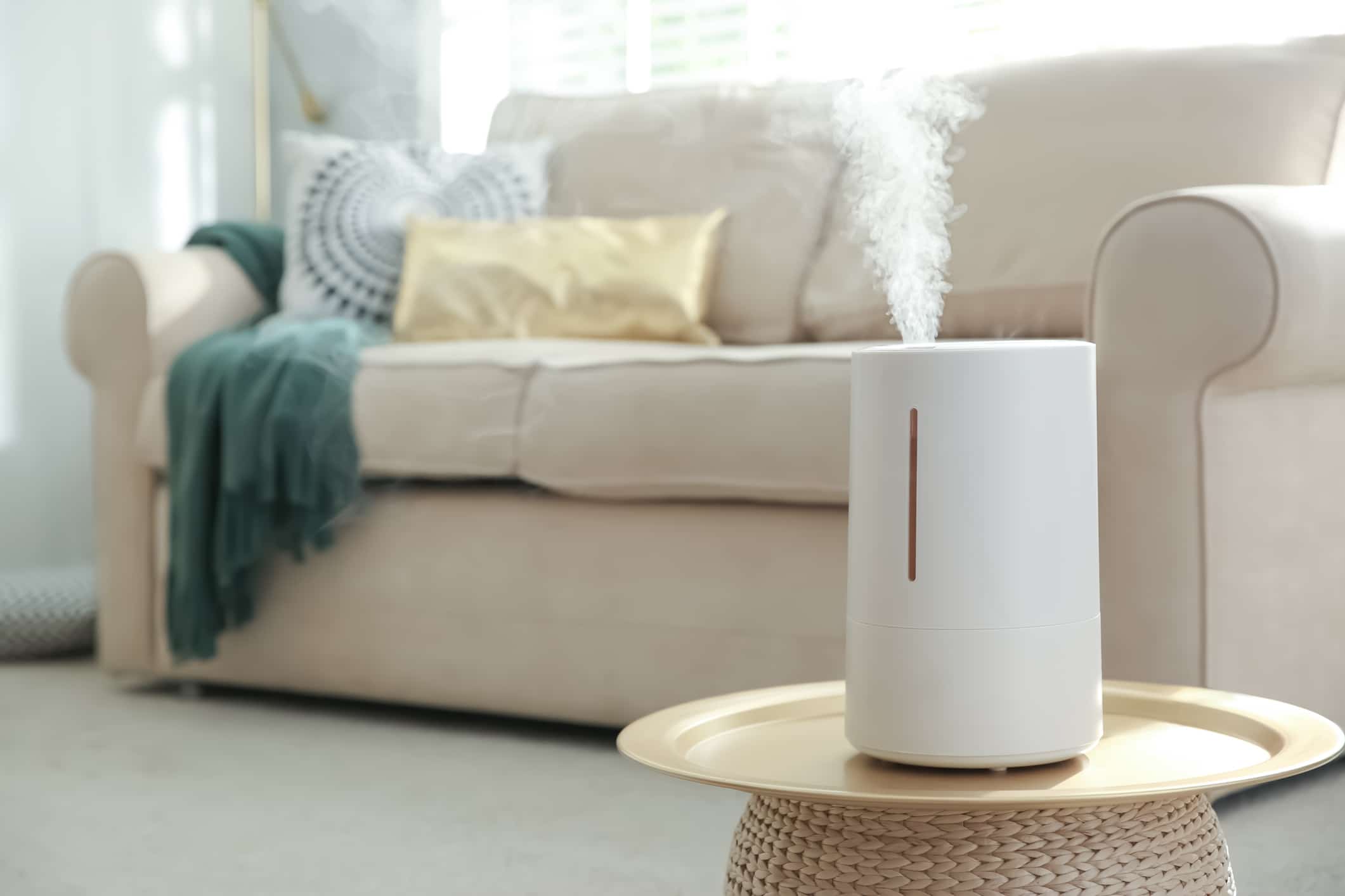 Combat Dreaded Dry Winter Air the Right Way